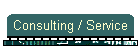 Consulting / Service